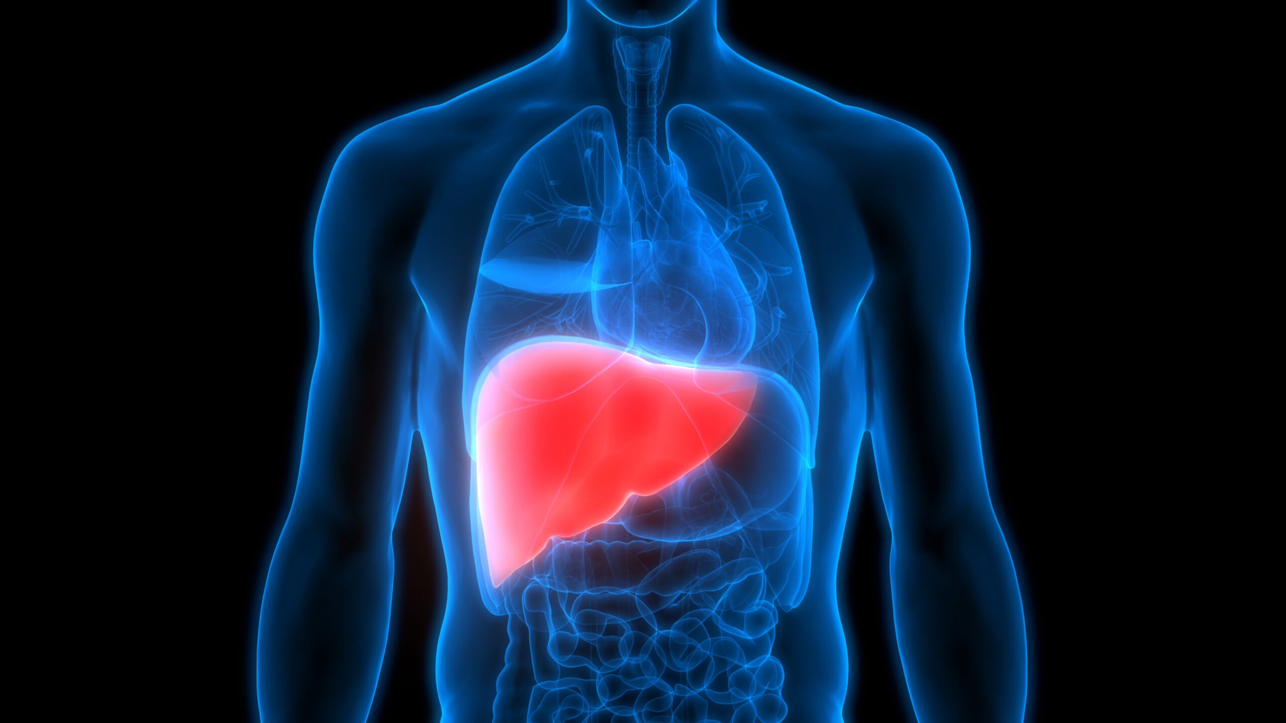 Liver disease is caused by chronic inflammation